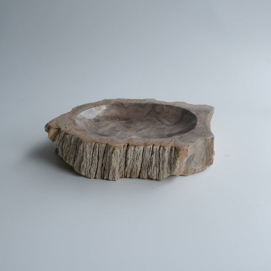 Accessory Tray #006