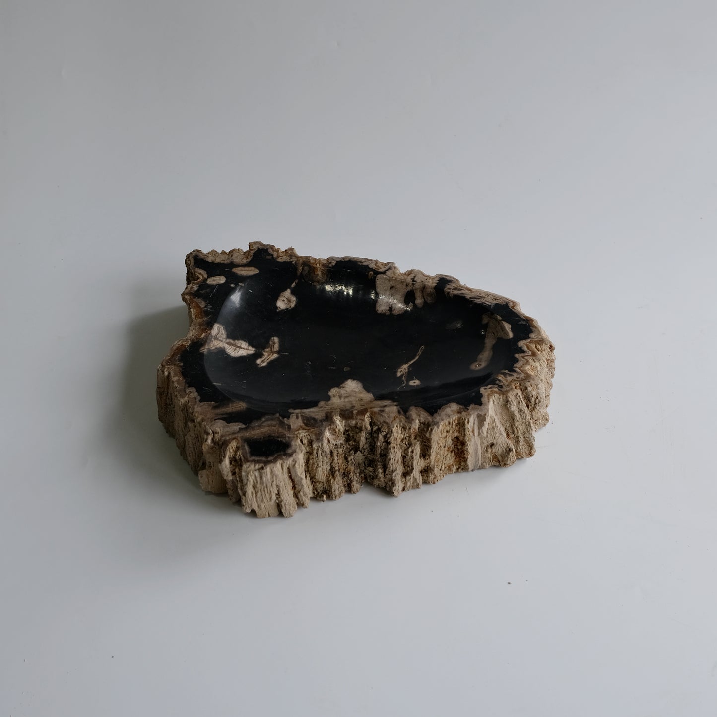 Accessory Tray #210