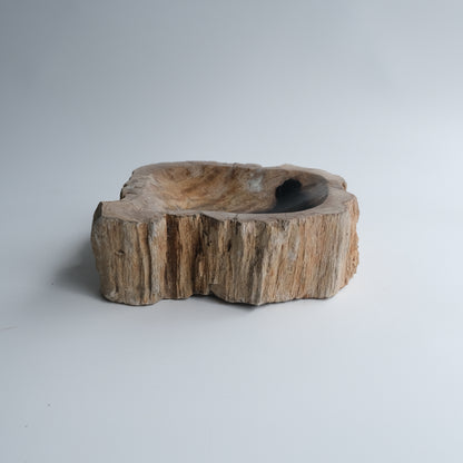 Accessory Tray #035