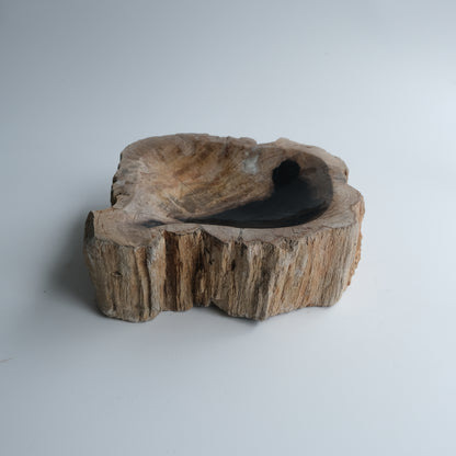 Accessory Tray #035