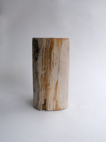 Stool #046