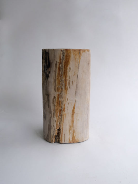 Stool #046
