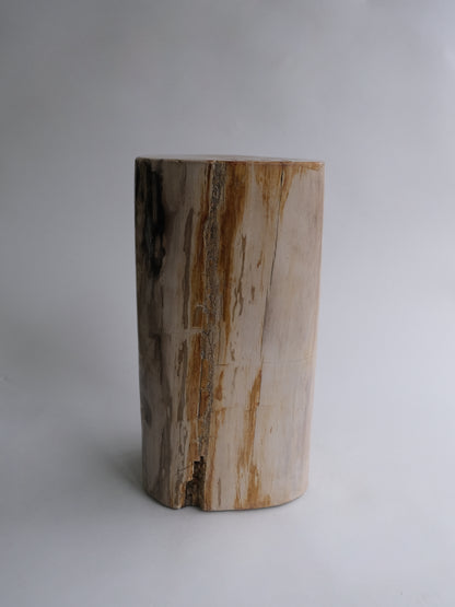 Stool #046