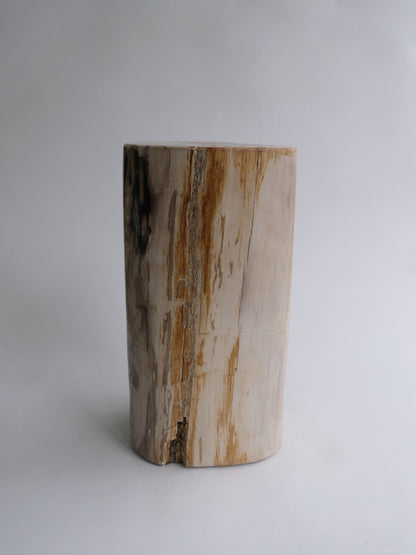 Stool #046