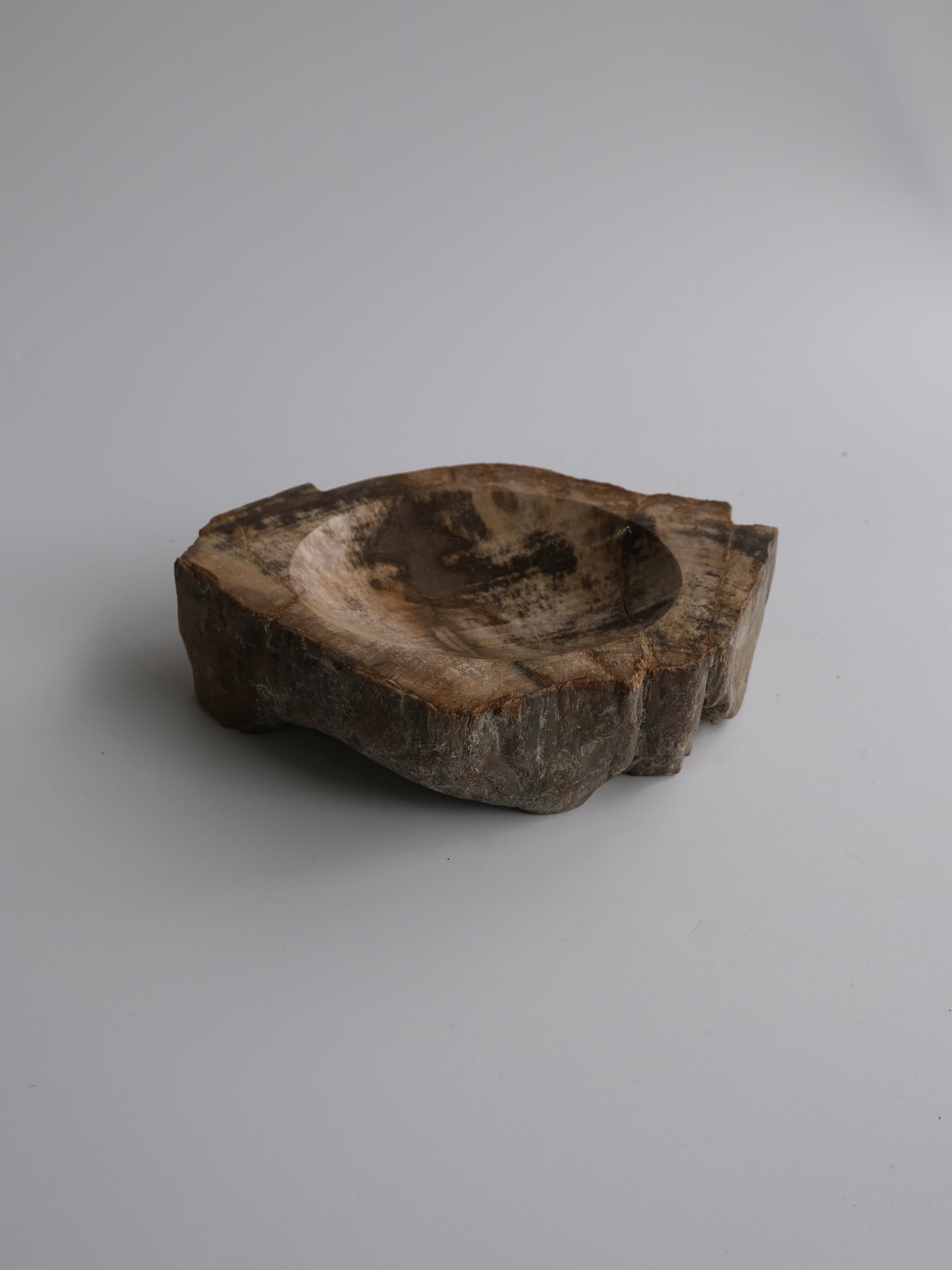 Accessory Tray #014