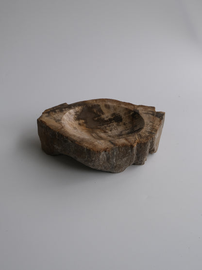 Accessory Tray #014