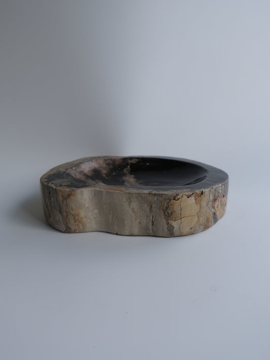 Accessory Tray #097