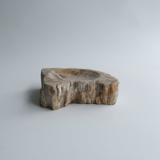 Accessory Tray #008