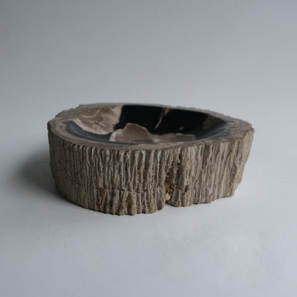 Accessory Tray #003