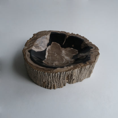 Accessory Tray #003
