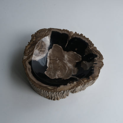 Accessory Tray #003
