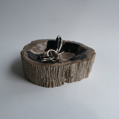 Accessory Tray #003