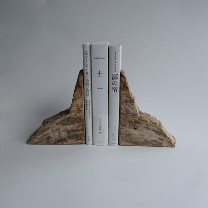 Mini Bookend #037