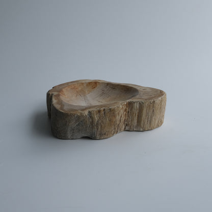 Accessory Tray #003