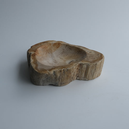 Accessory Tray #003