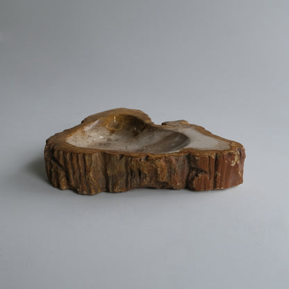 Accessory Tray #048
