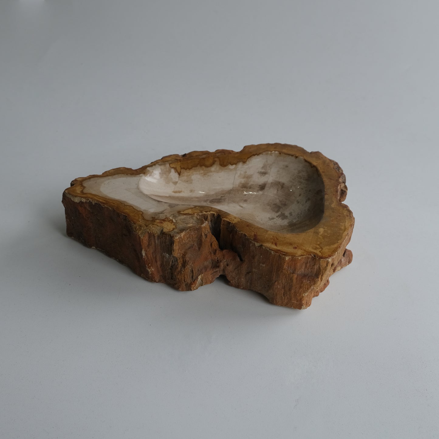 Accessory Tray #048
