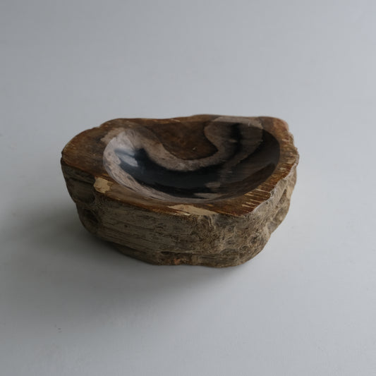 Accessory Tray #009