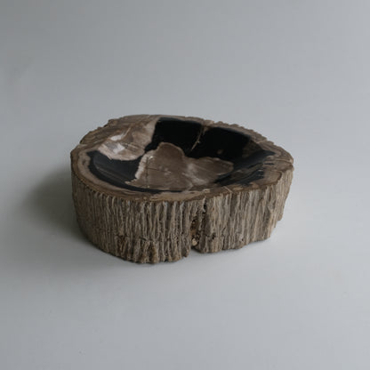 Accessory Tray #003