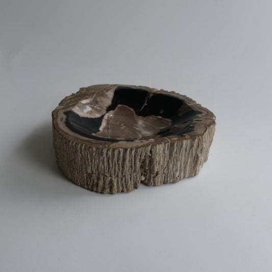 Accessory Tray #003
