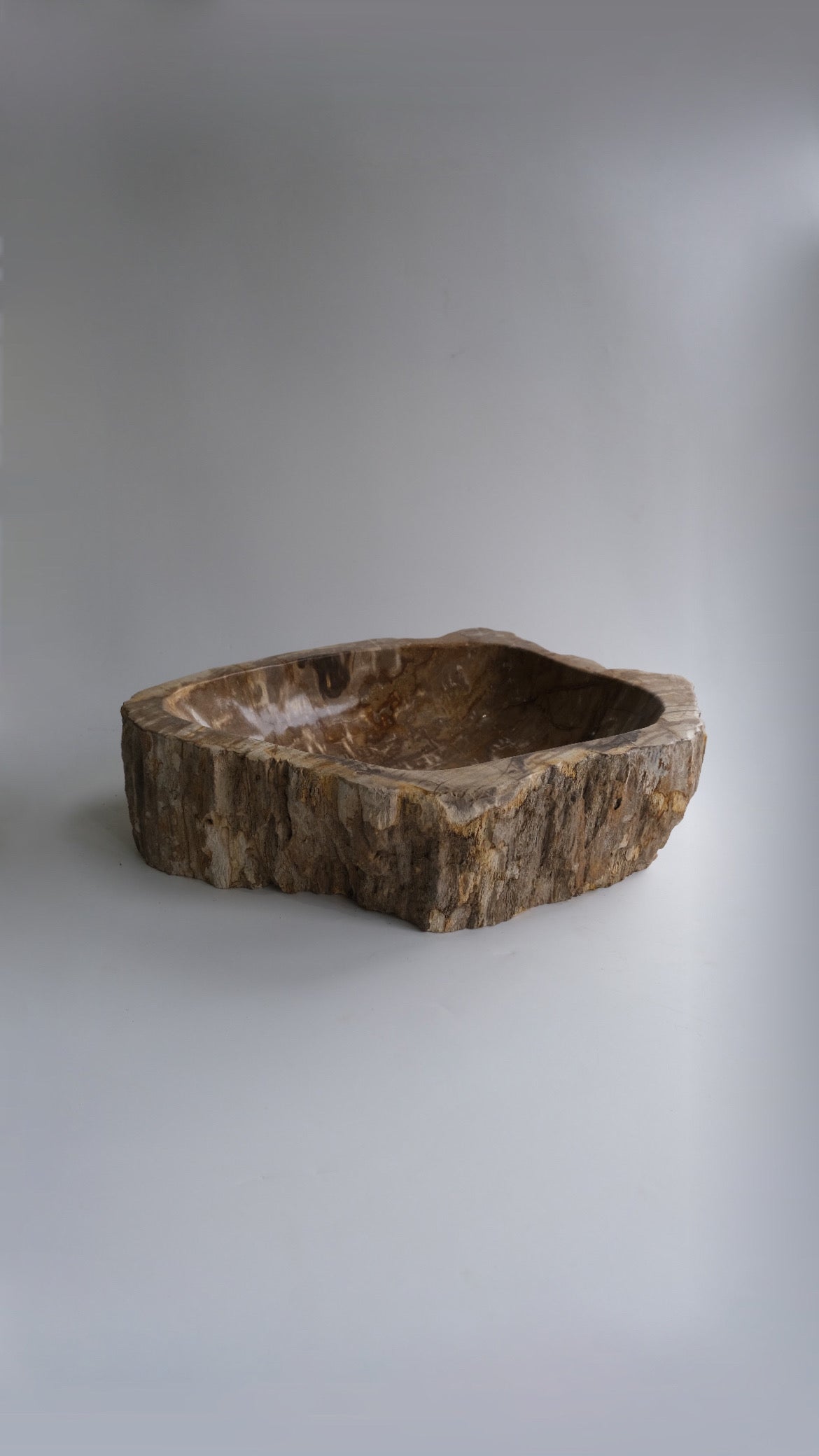 Sink #006 – OAK Petrified Wood