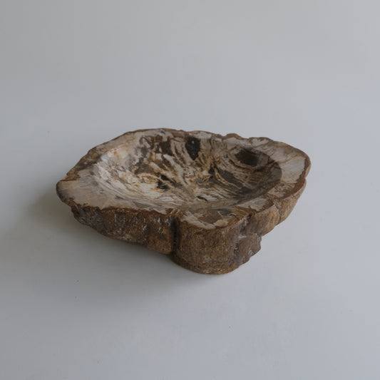 Accessory Tray #025