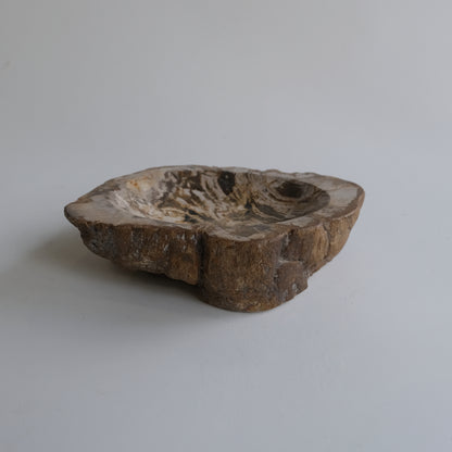 Accessory Tray #025