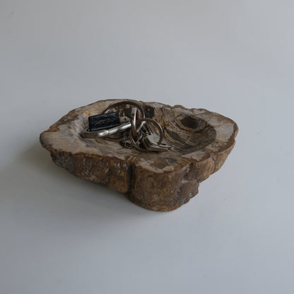Accessory Tray #025