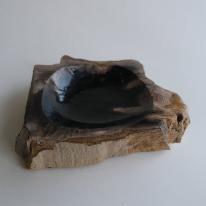 Accessory Tray #022