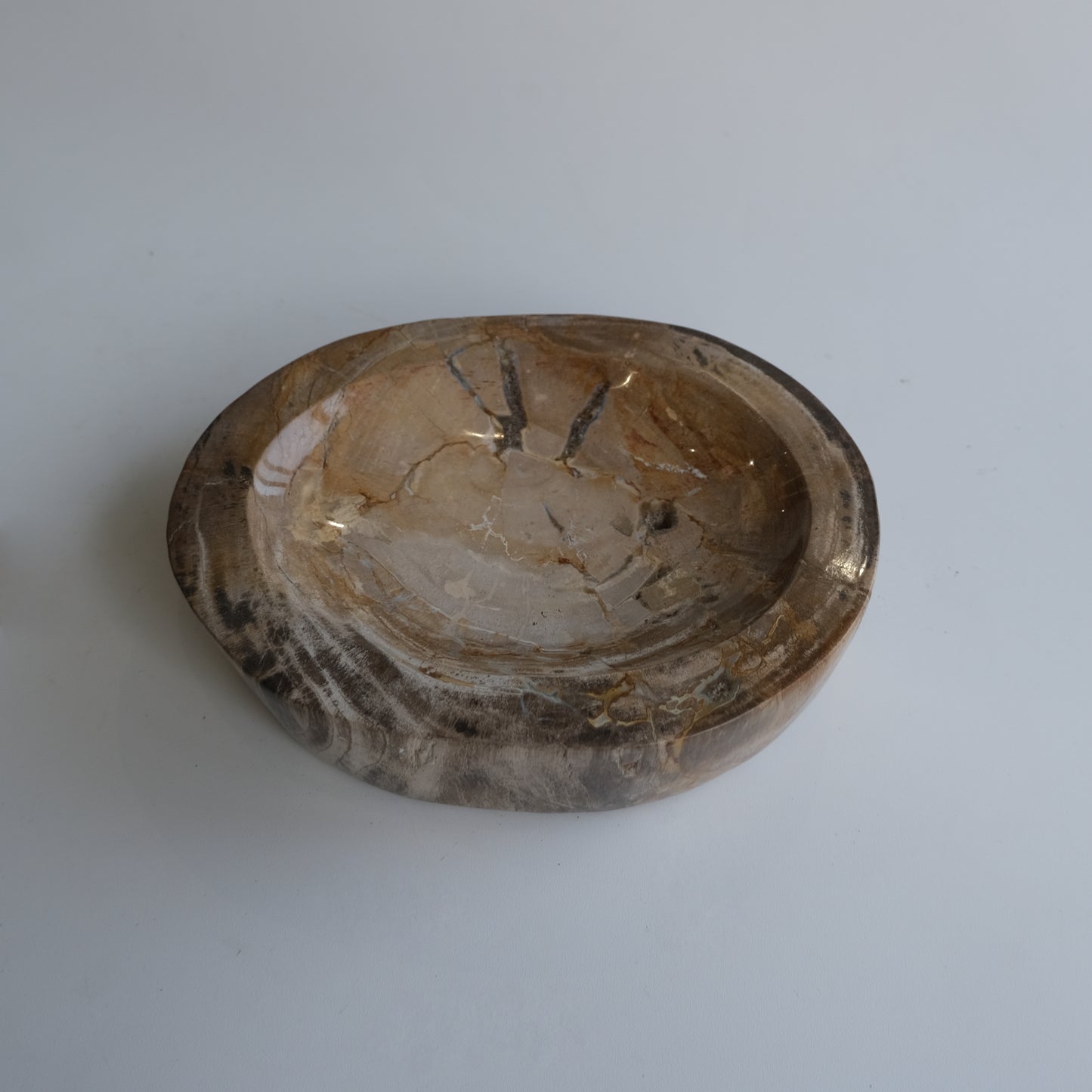 Accessory Tray #039