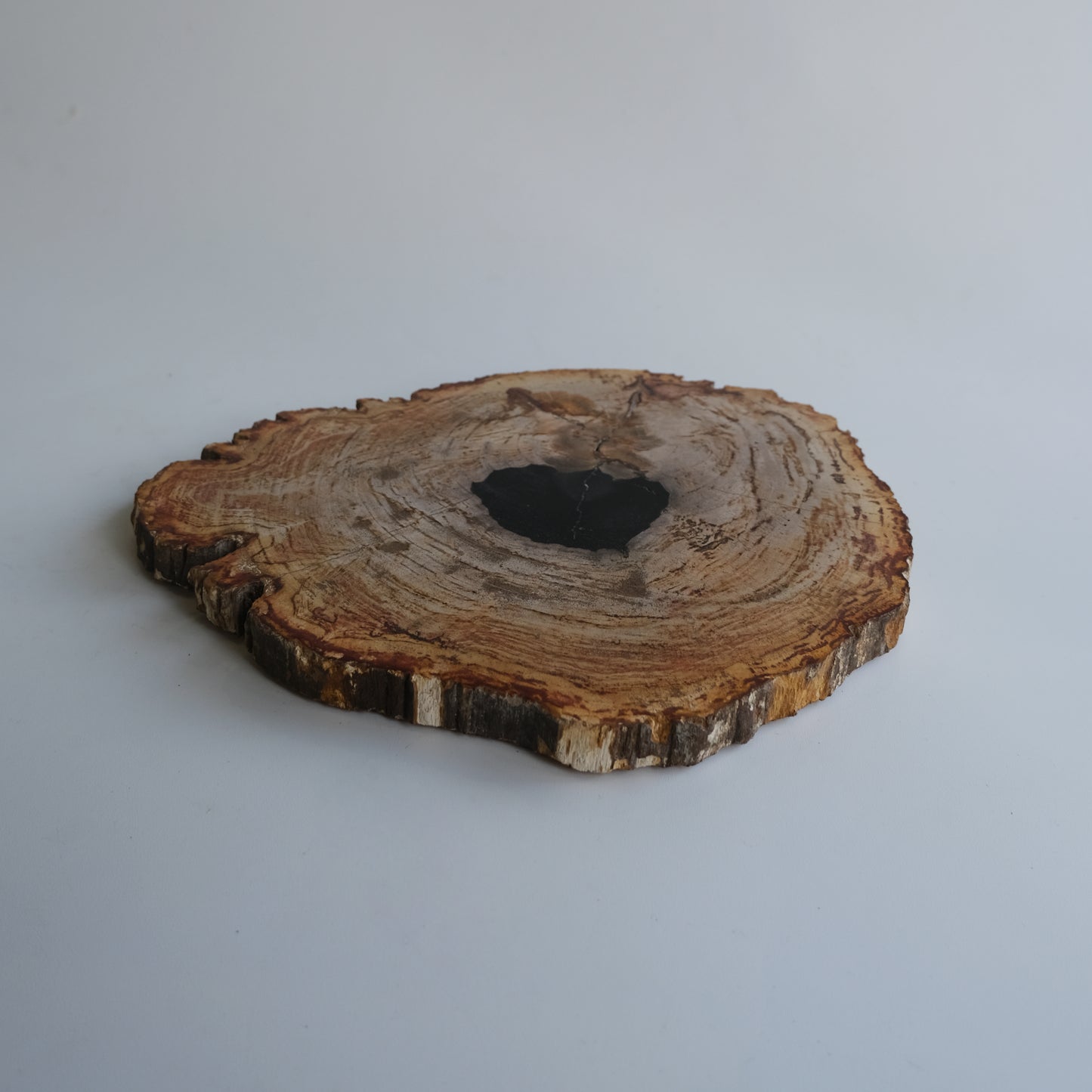 Wood Plate #009