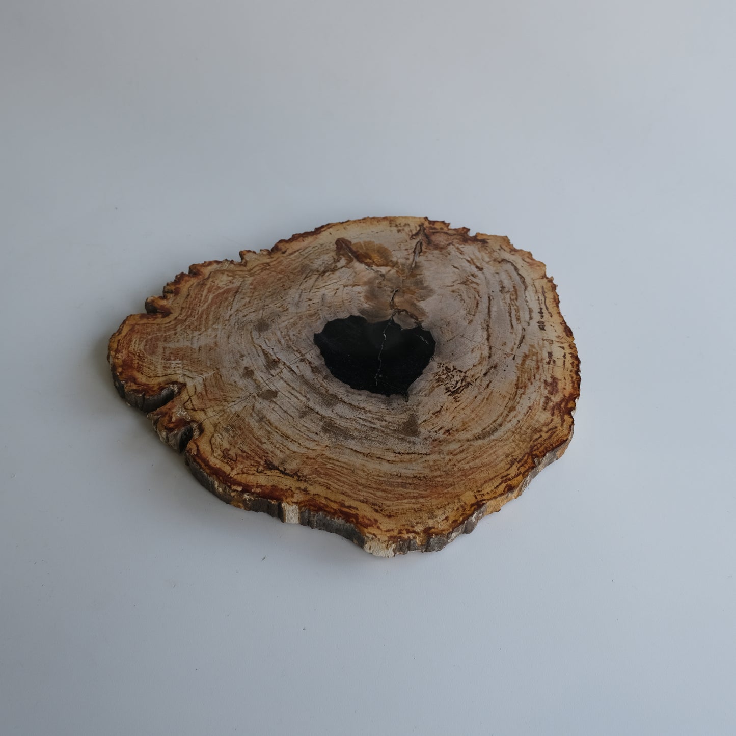 Wood Plate #009