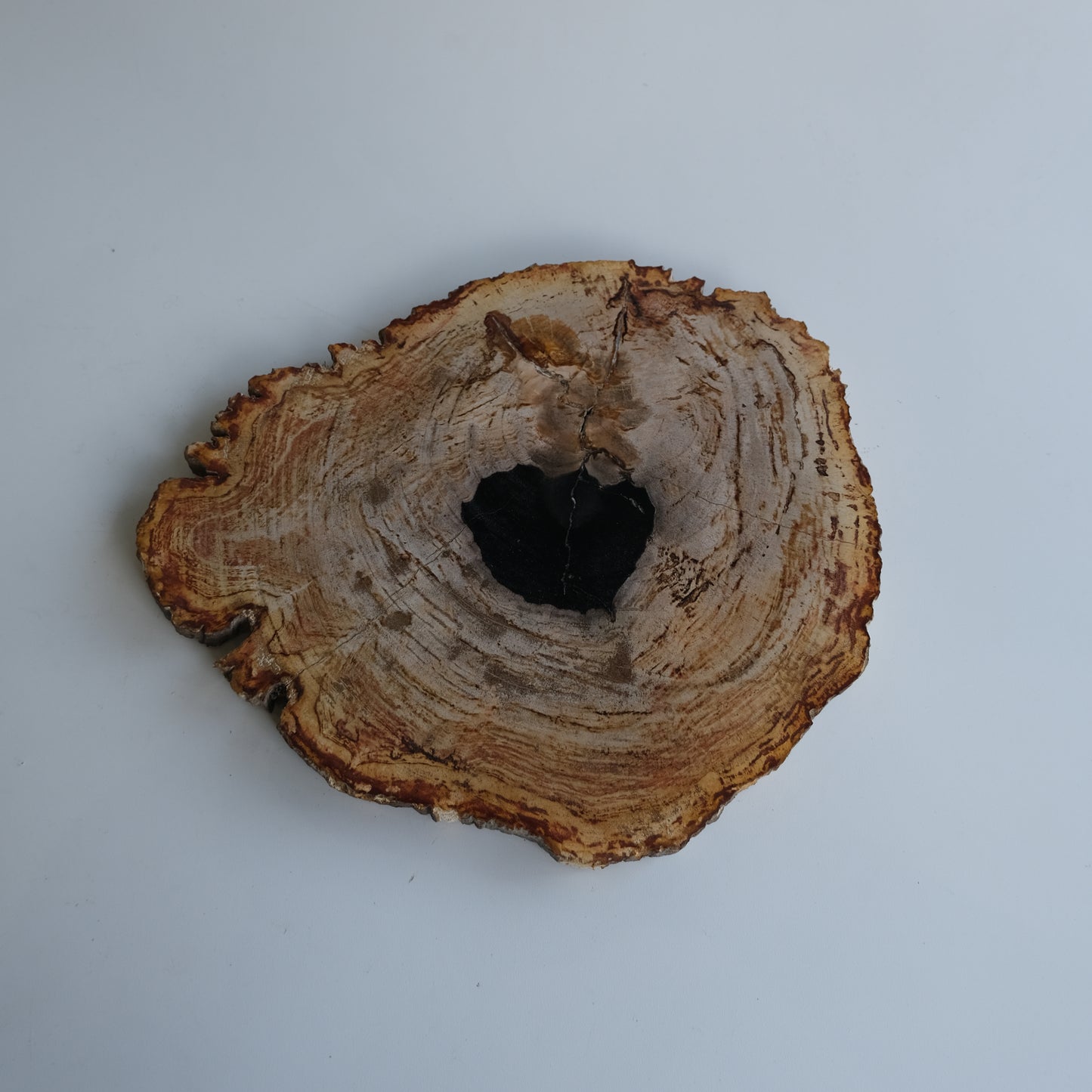 Wood Plate #009