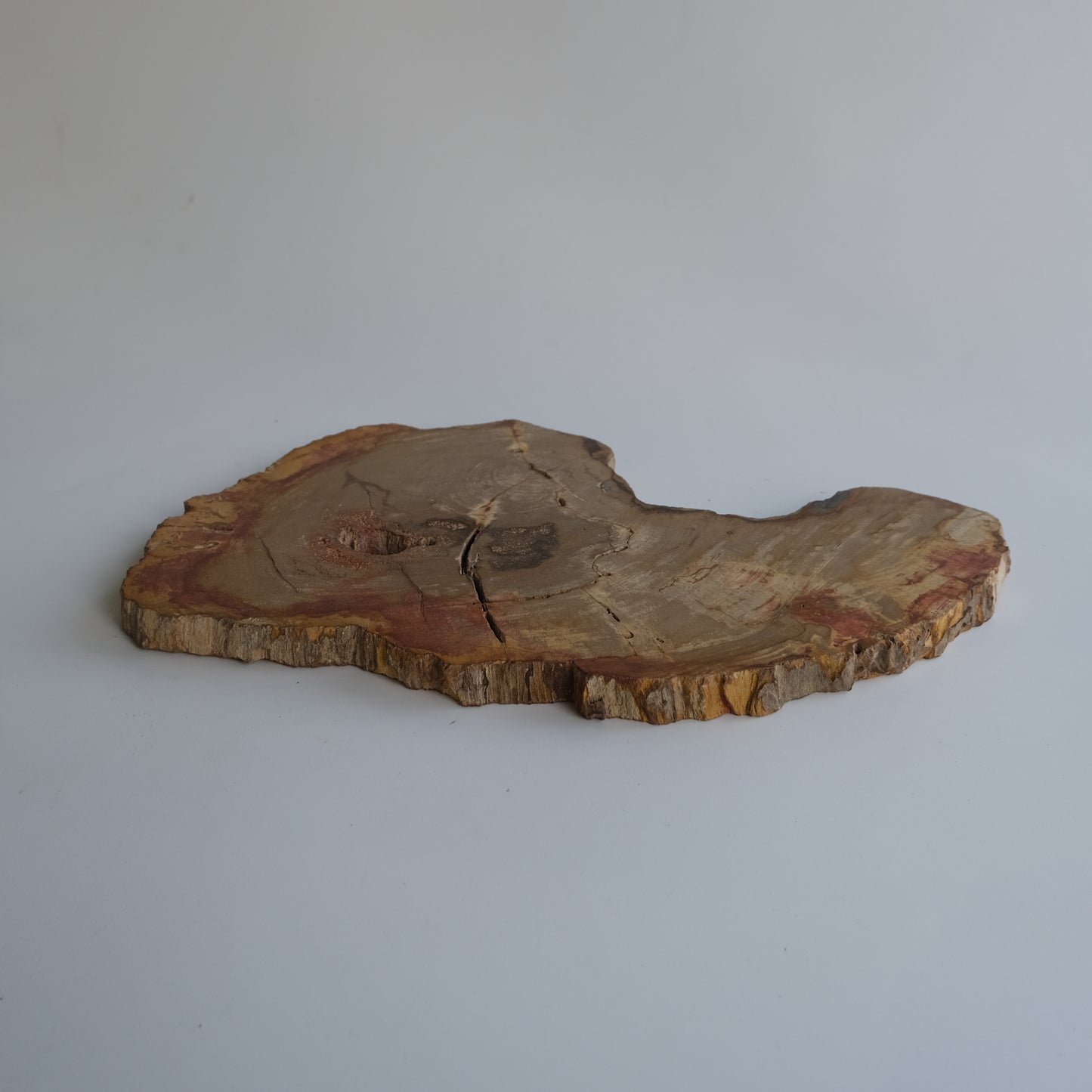 Wood Plate #002