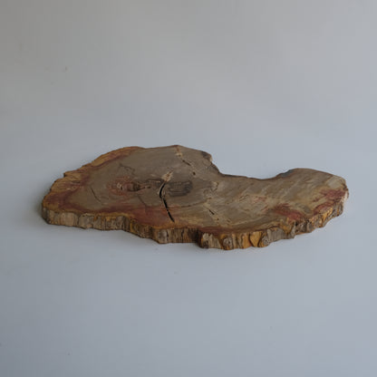 Wood Plate #002