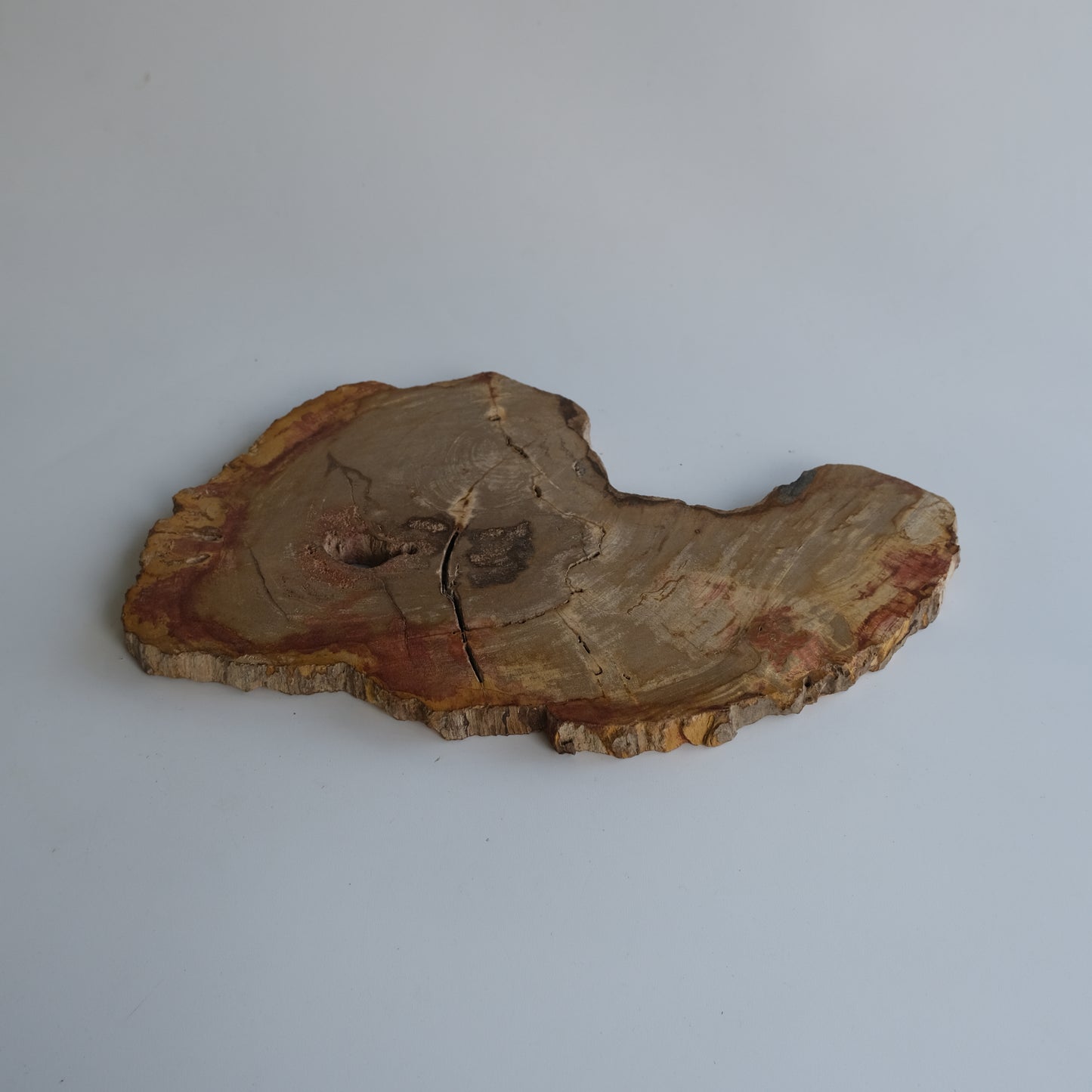 Wood Plate #002
