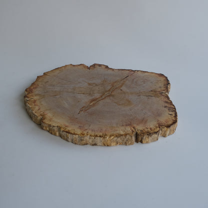Wood Plate #010
