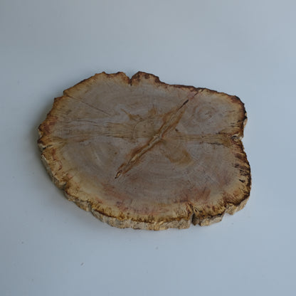 Wood Plate #010