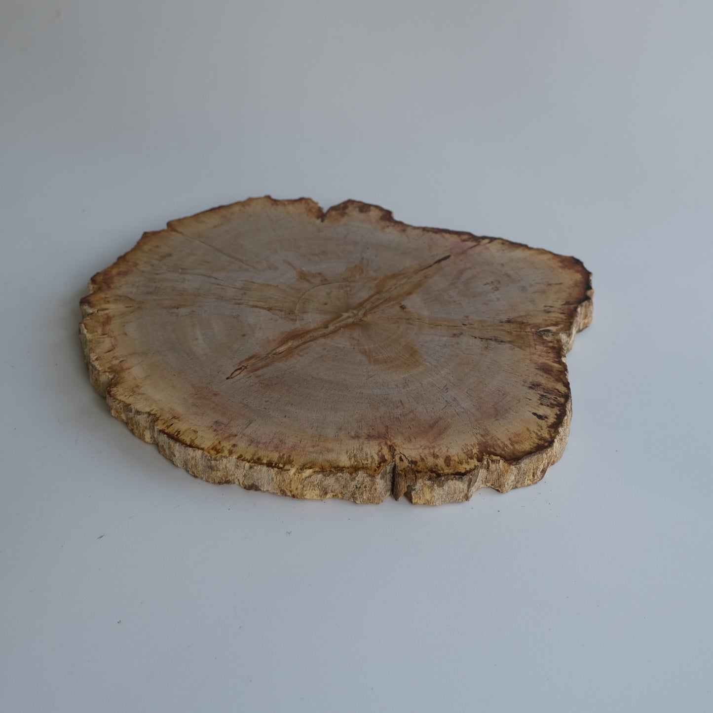 Wood Plate #010