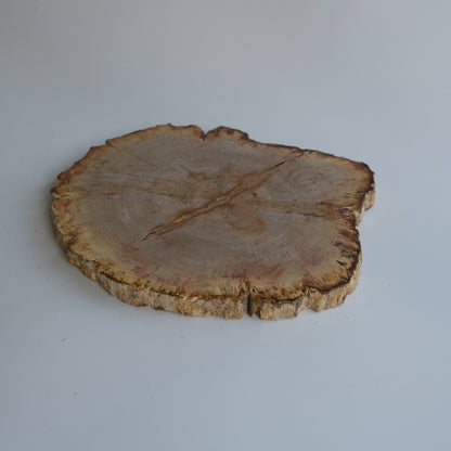 Wood Plate #010
