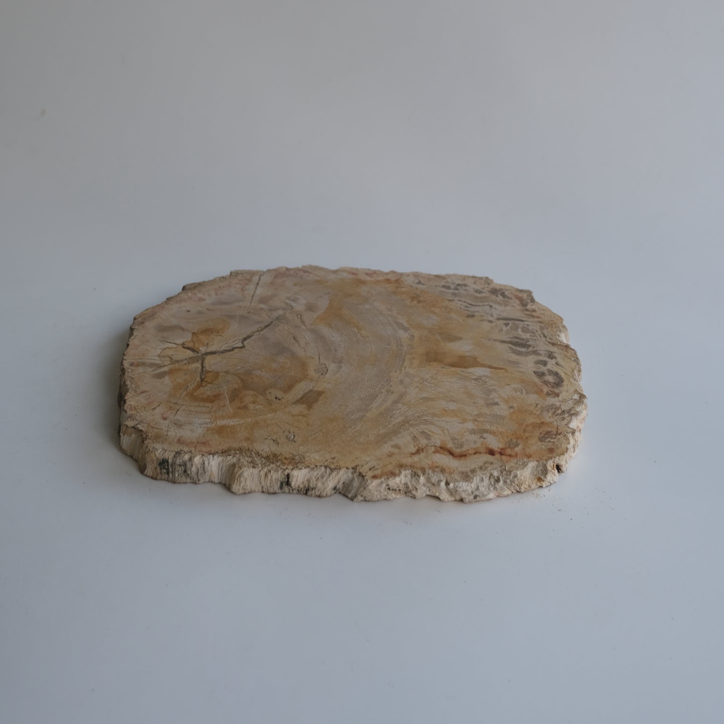Wood Plate #011