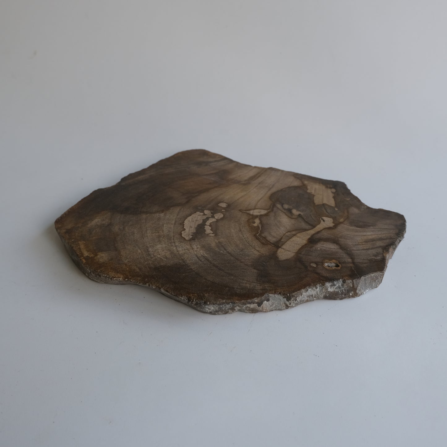 Wood Plate #004