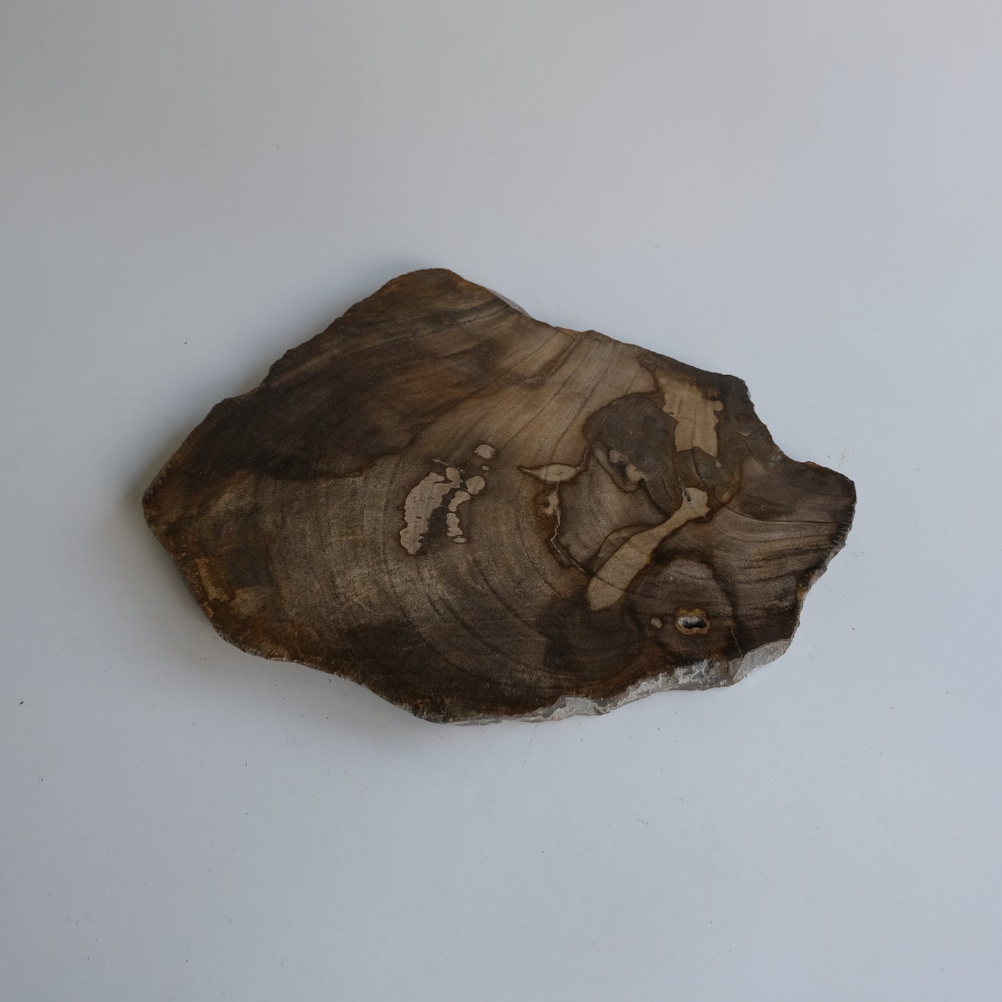 Wood Plate #004