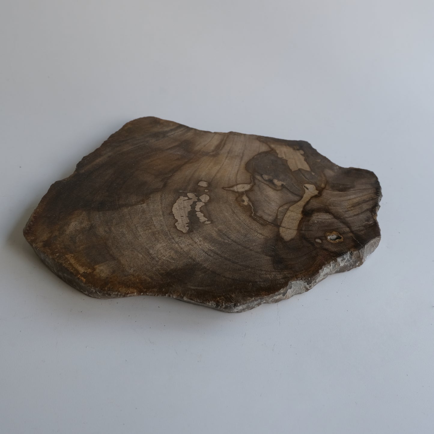 Wood Plate #004