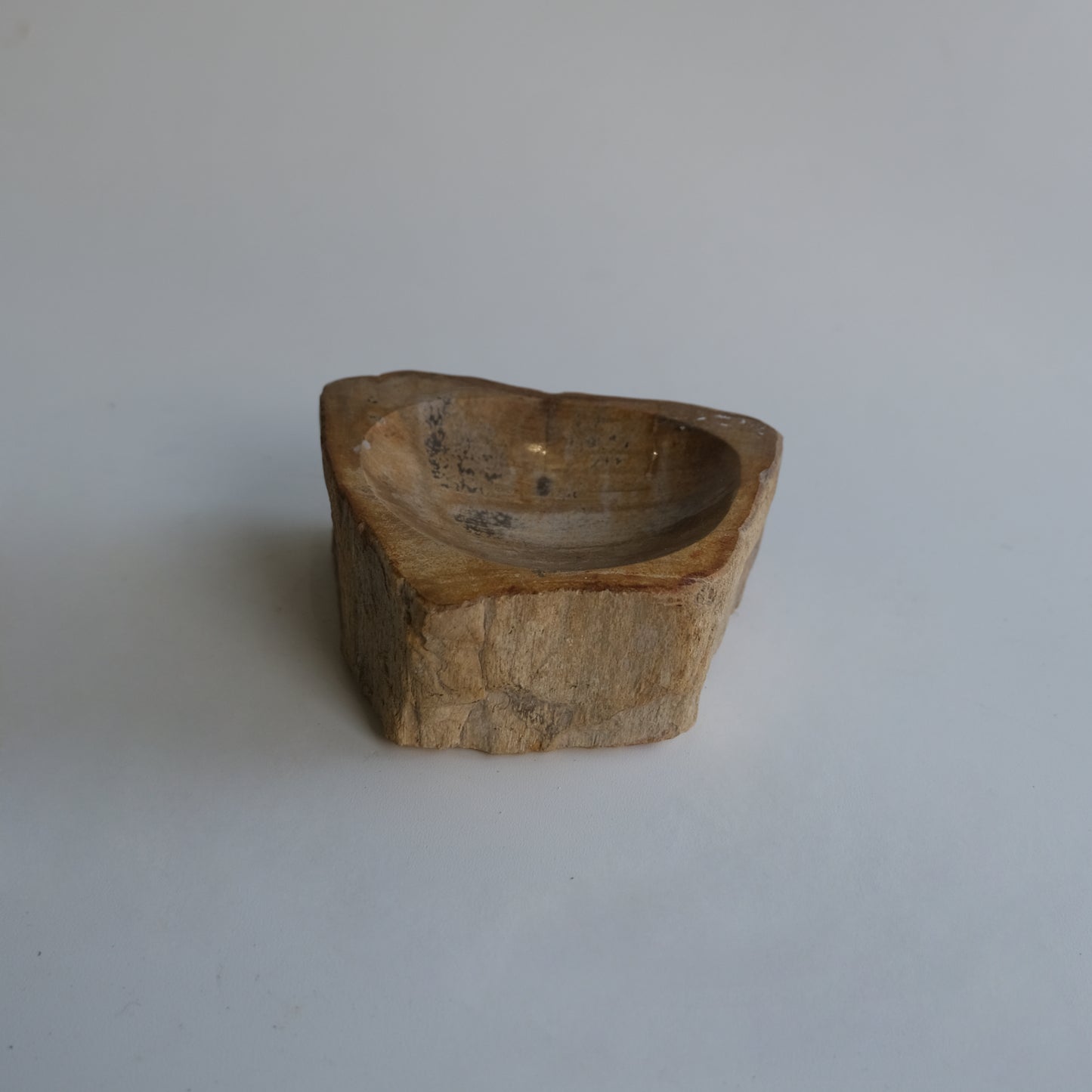 Accessory Tray #016