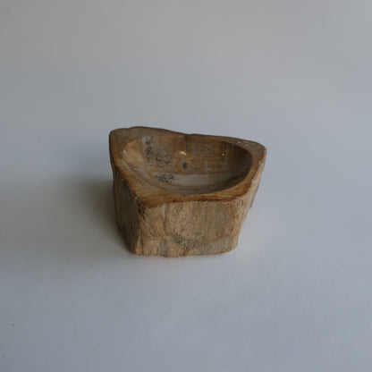 Accessory Tray #016