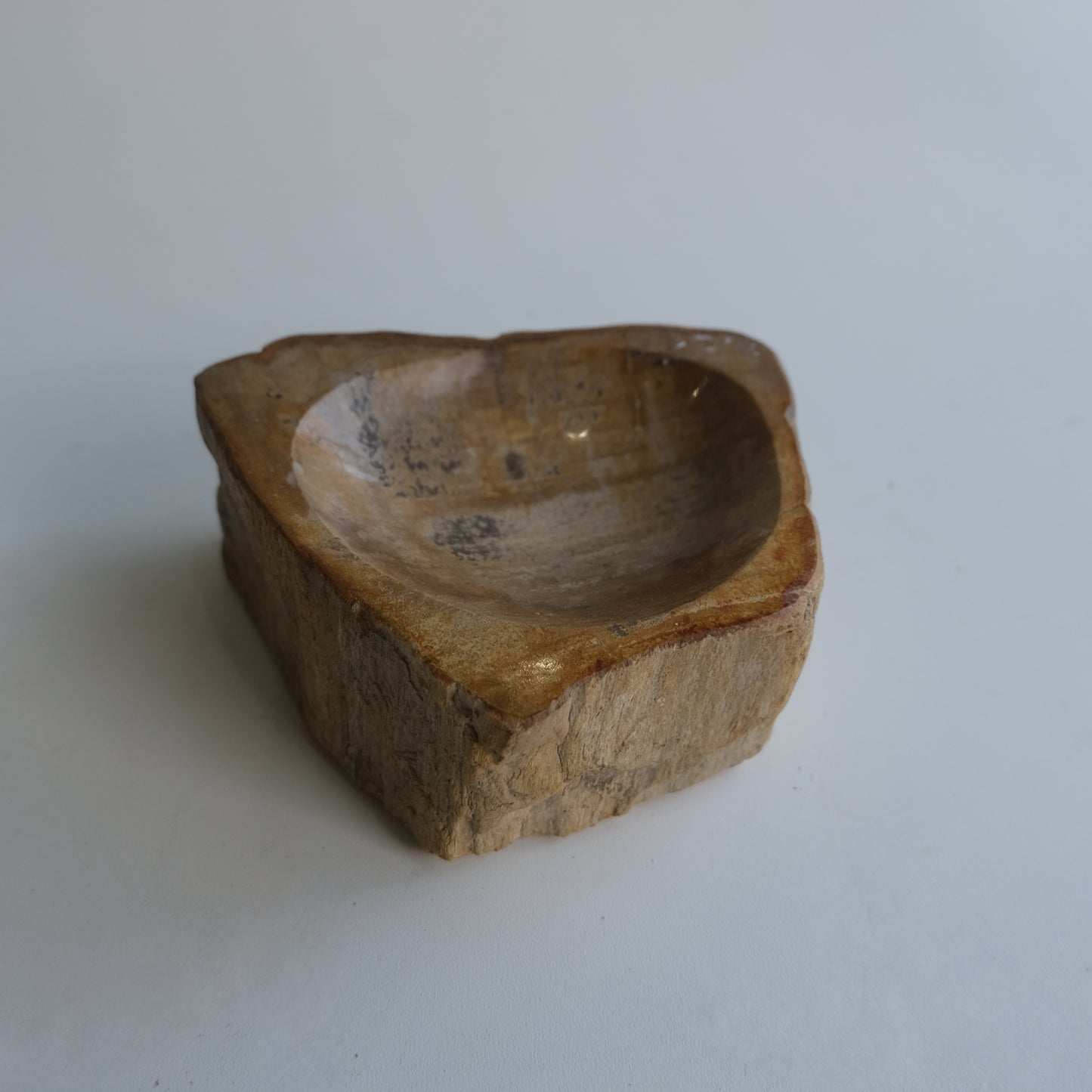 Accessory Tray #016