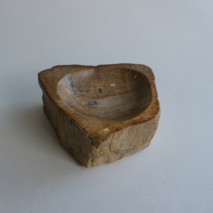 Accessory Tray #016