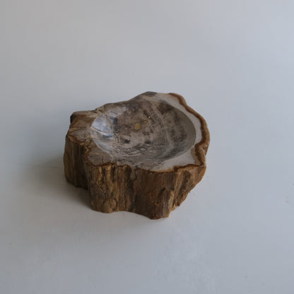 Accessory Tray #010