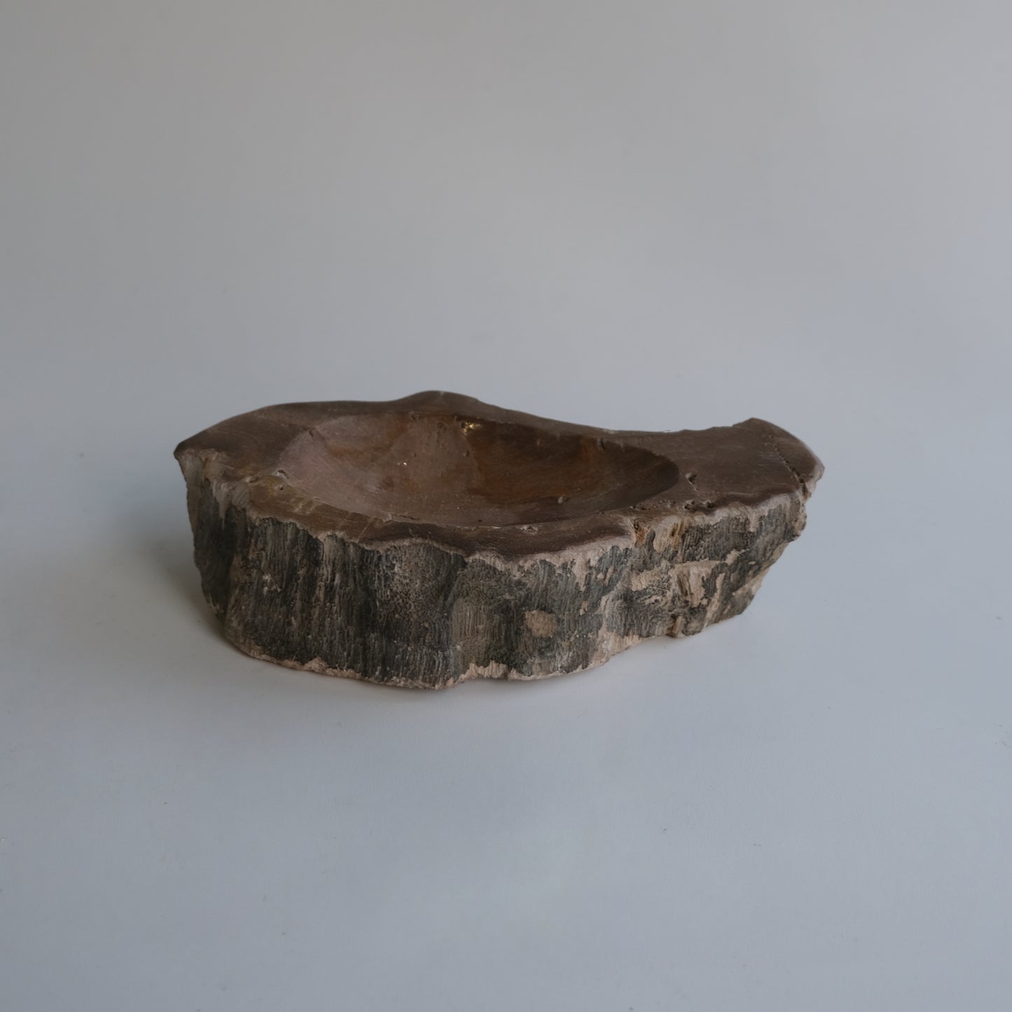 Accessory Tray #015